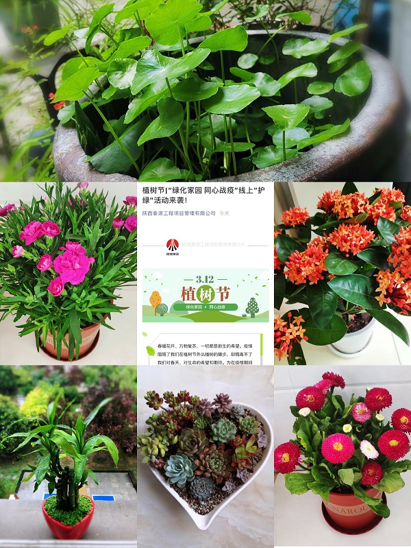 植树节.JPG