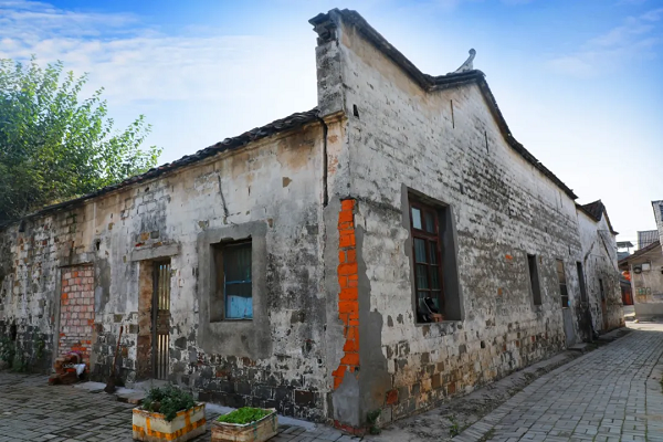 陈启杨 2.png