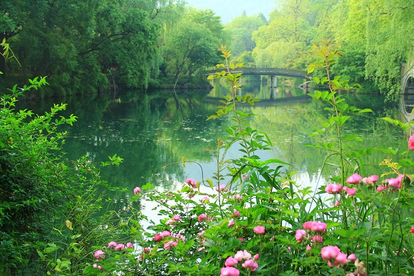 蝶恋花__春.jpg