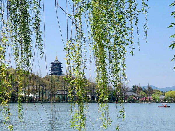 清明 (1).jpg