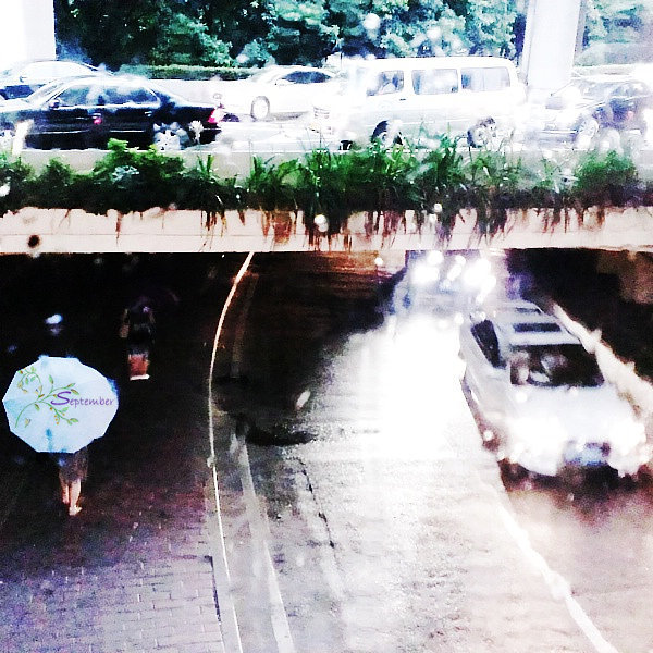 造价四部（散文类）望雨思.jpg