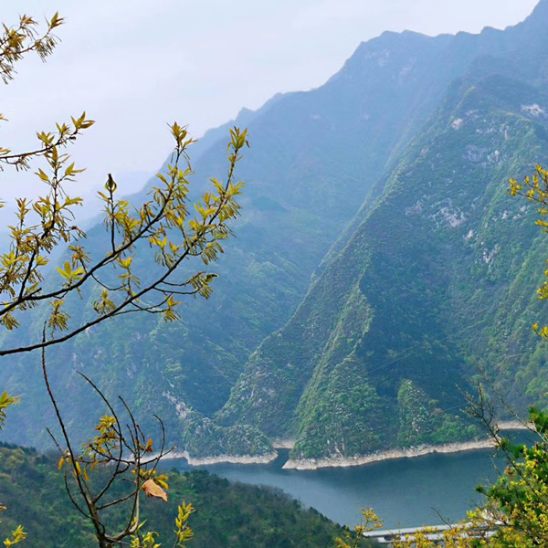 造价四部（散文类）游南五台山.jpg