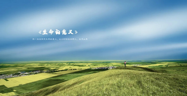 生命的意义配图.jpg