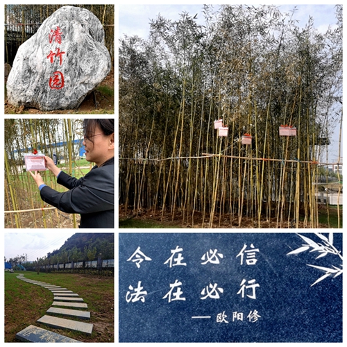 青竹园4.jpg