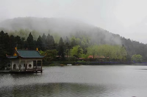 秋雨三章配图2.jpg