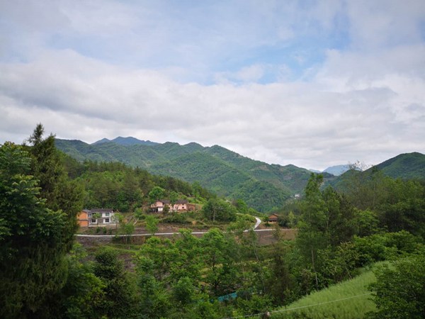 集中村村景1.jpg