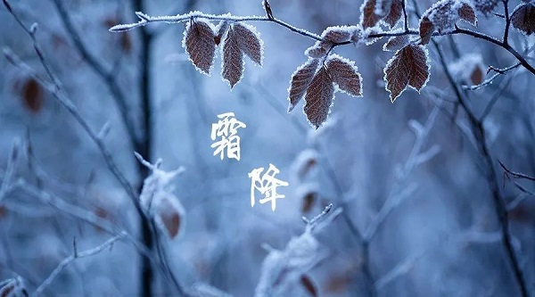 霜降.jpg