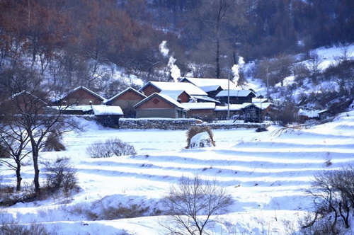 听听，雪的声音配图.jpg