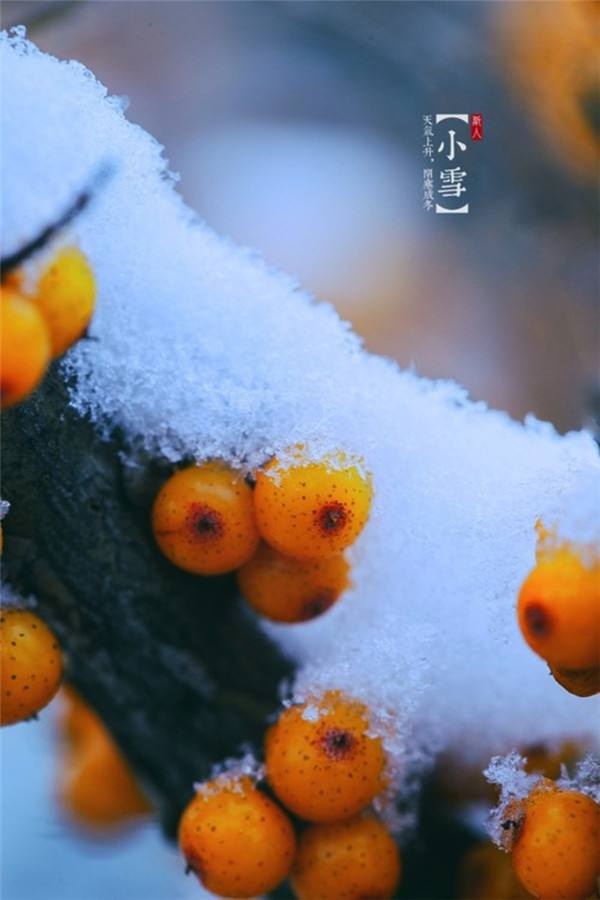 散文类；小雪，造价四部 惠姣.jpg
