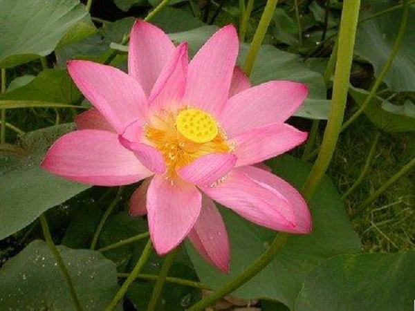 7726DB2A167EBA2CDF4648E1910CD701 (1).jpg