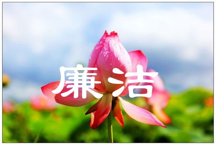 8489DA15715065BE4108B5EC2ACF439F.jpg