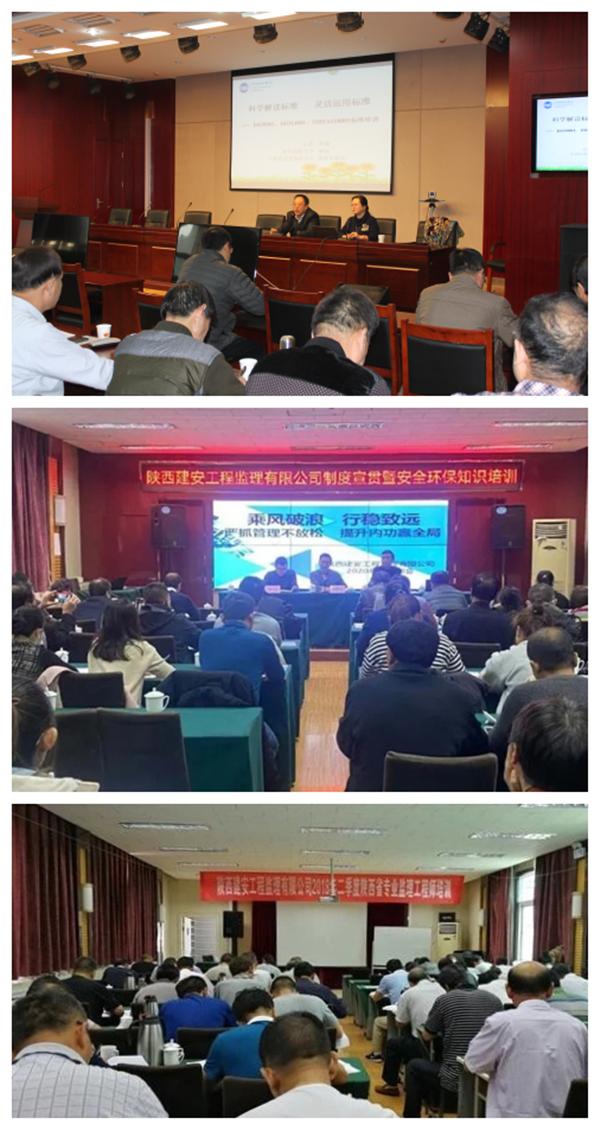 1631263711803512.jpeg 11.jpg