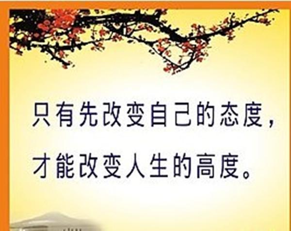 195A2C3168B2DA25D0BC7892C26EB845.jpg