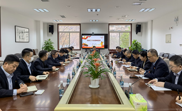 杨宸.jpg