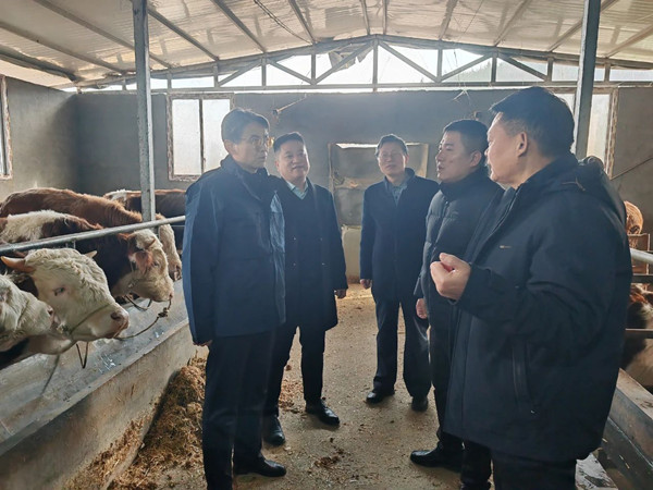 微信图片_20241220082844_副本.jpg