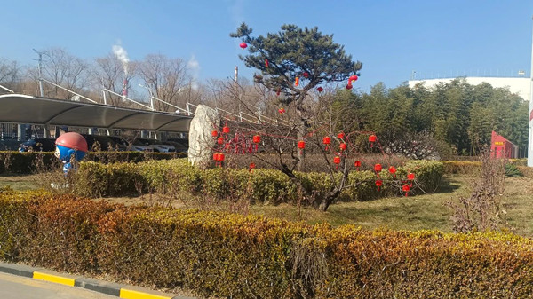 微信图片_20250123113540_副本.jpg