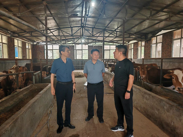 微信图片_20250604092403_副本.jpg