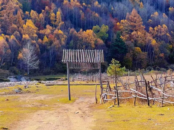 微信图片_2025-10-17_095711_743_副本.jpg